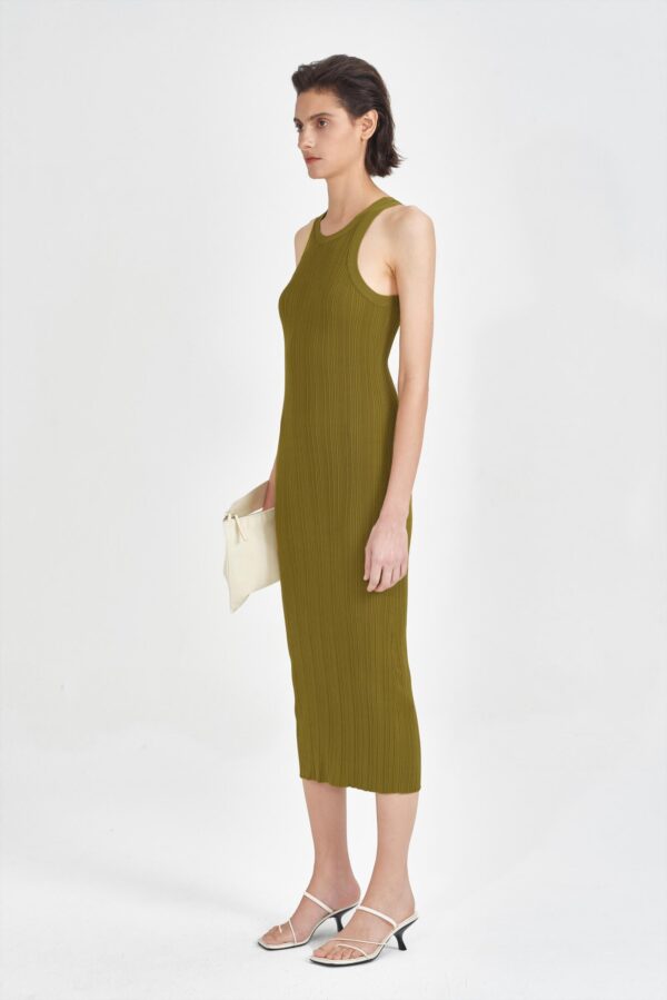 #color_Algal Green