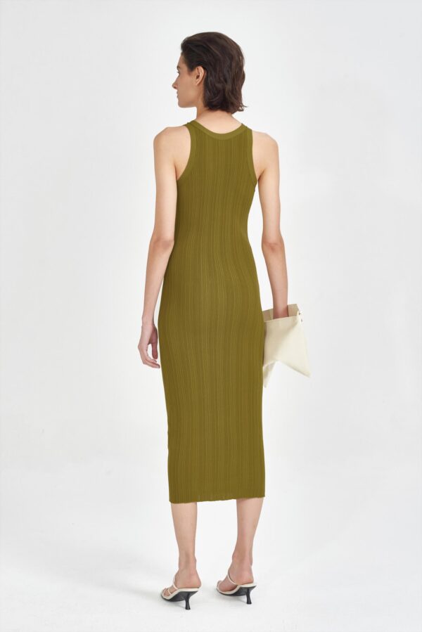 #color_Algal Green